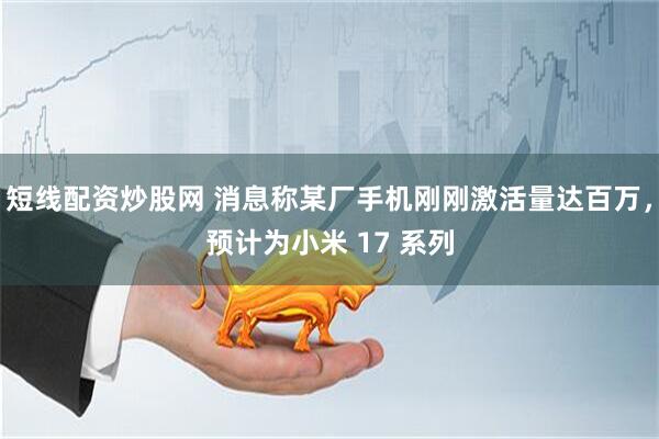 短线配资炒股网 消息称某厂手机刚刚激活量达百万，预计为小米 17 系列